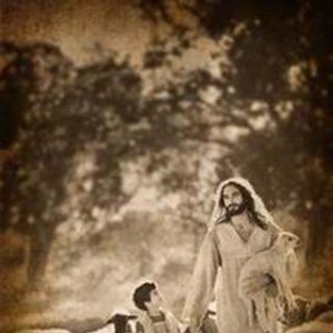�����ڳ������ѣ����ĵͳ��ĵ������